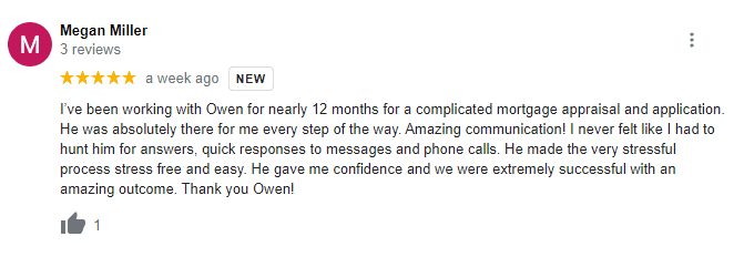 Megan - Self-employed google review